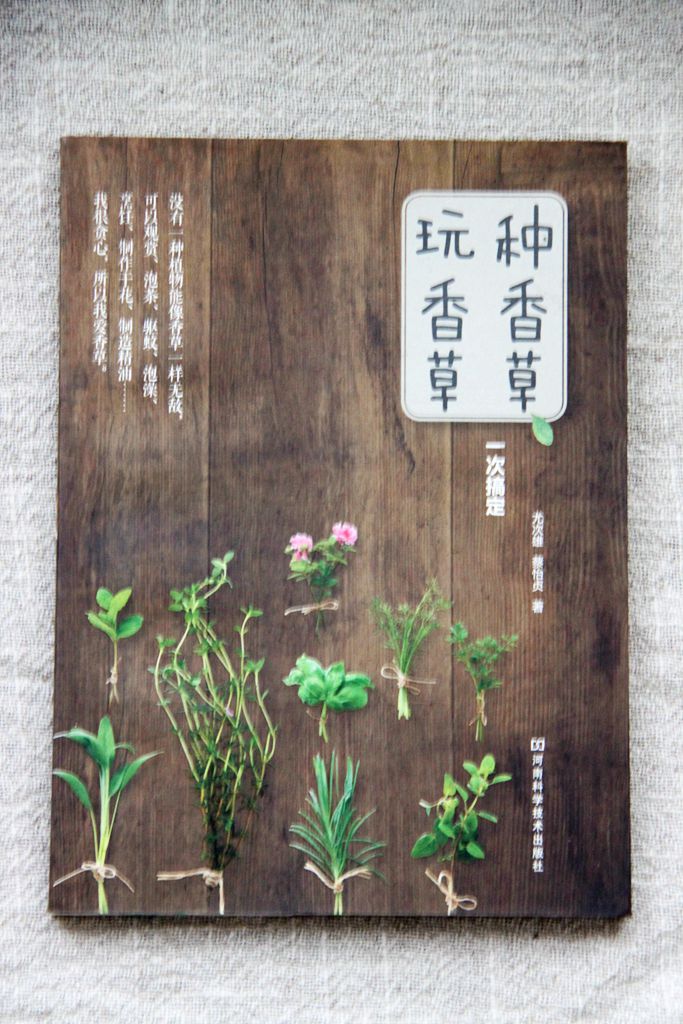 《種香草，玩香草一次搞定》簡體版書封