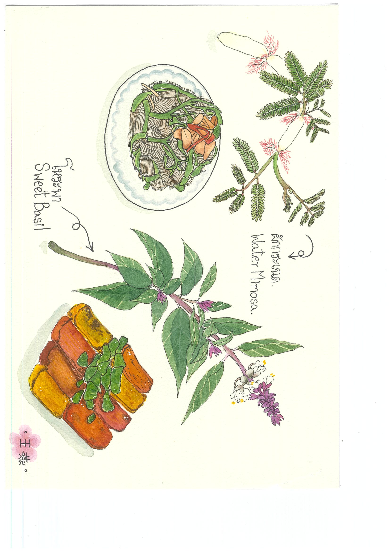 兩位太太的香料餐桌插畫
