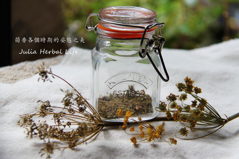 香草生活運用照片